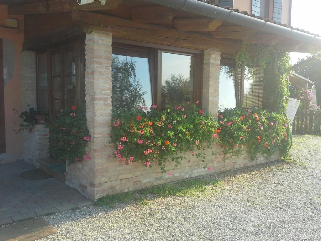 B&B Verde Venezia Mestre Exteriér fotografie